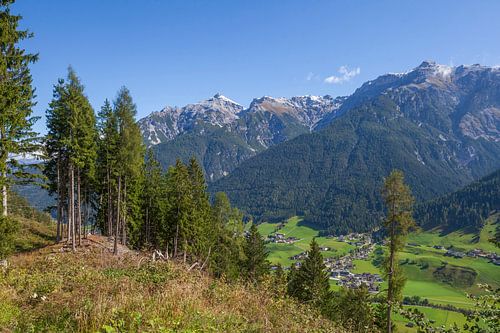 Berg Serles mit Wald 