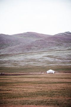 Accueil dans les champs de Mongolie | photographie de plein air et documentaire sur Holly Klein Oonk