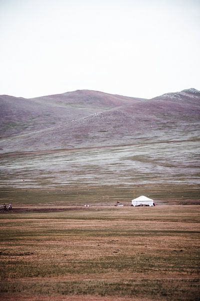 Accueil dans les champs de Mongolie | photographie de plein air et documentaire par Holly Klein Oonk