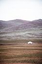 Accueil dans les champs de Mongolie | photographie de plein air et documentaire par Holly Klein Oonk Aperçu