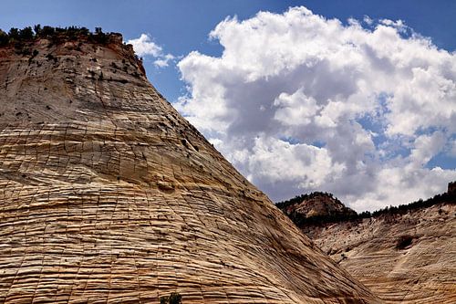 Checkerboard Mesa