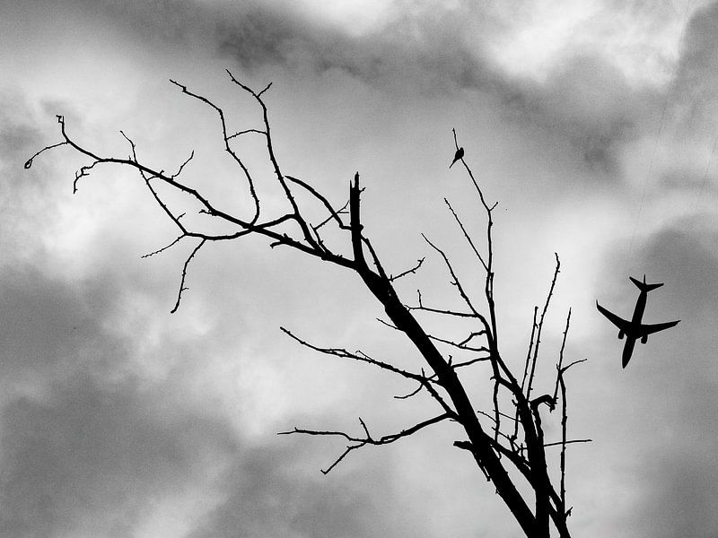 the American Dream by Martijn Jebbink Photography