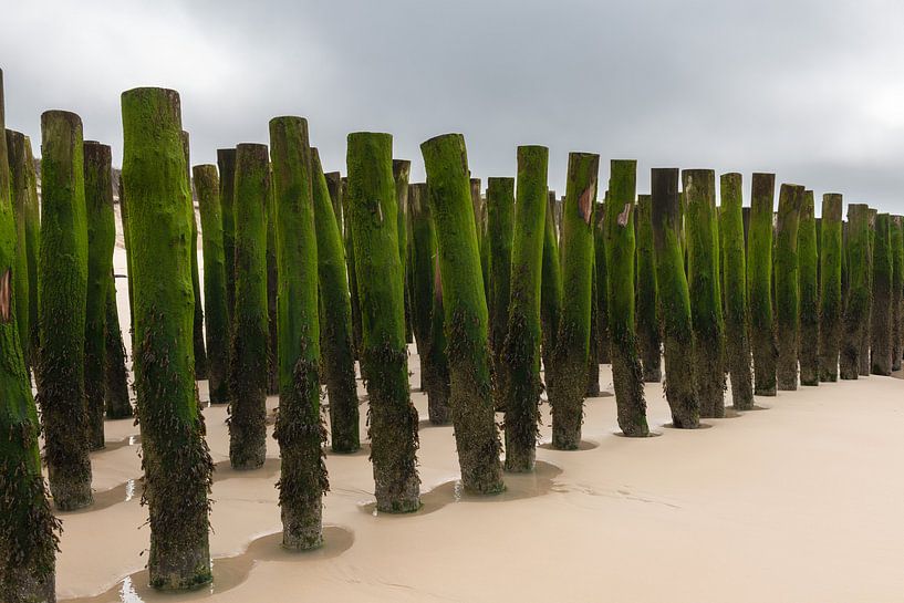 Wellenbrecher an der Opalküste in Frankreich von Gerry van Roosmalen