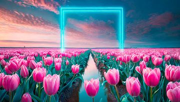 Tulpen met blauwe verlichting van Mustafa Kurnaz