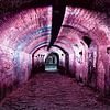 Roze  tunnel Oude gracht Utrecht van Ramona Stravers