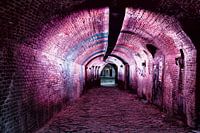 Roze  tunnel Oude gracht Utrecht