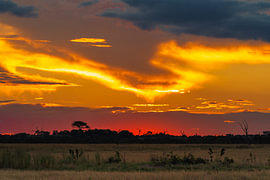 Feuerroter Sonnenuntergangshimmel über dem Horizont der afrikanischen Savanne von Johannes Jongsma