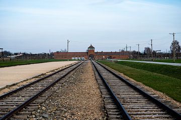Classique d'Auschwitz sur Werner Lerooy