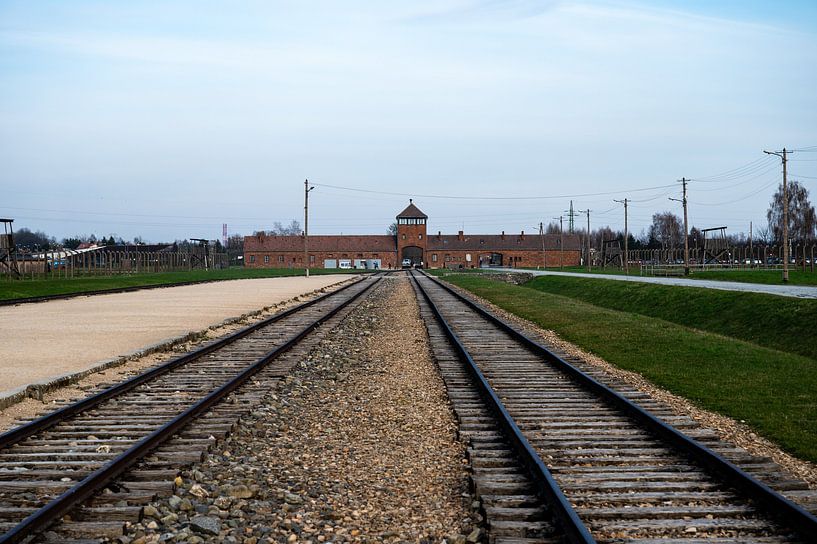 Klassieker uit Auschwitz van Werner Lerooy