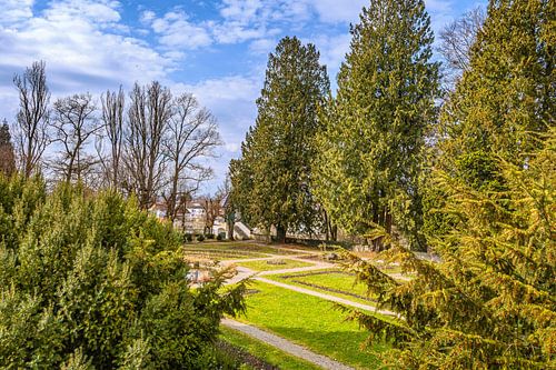De lente komt eraan in de rozentuin van Laupheim
