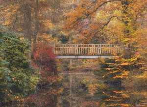 Herbst im Bergischen Land,Ohligser Heide