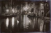 Zwanen in de Oudegracht van Jan van der Knaap thumbnail