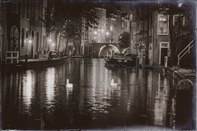 Zwanen in de Oudegracht by Jan van der Knaap