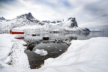 Winterpanorama op het eiland Senja in Noord-Noorwegen