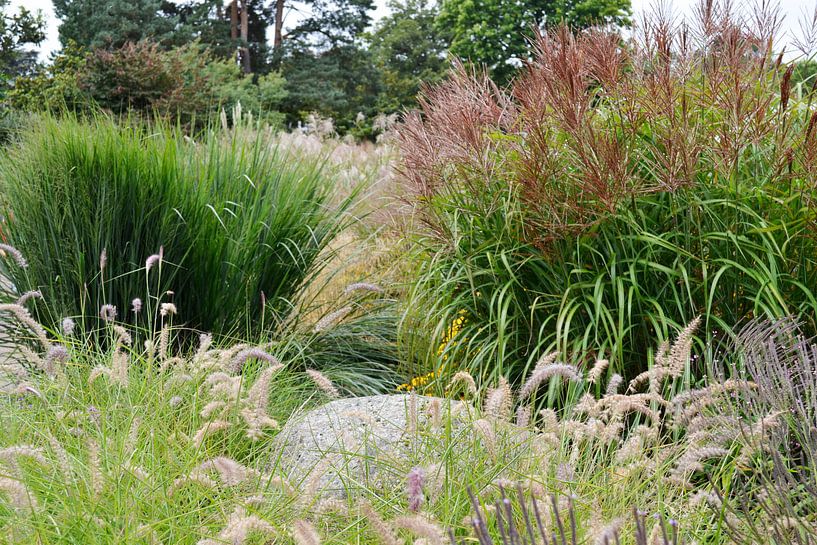 Grassen von Susan Dekker