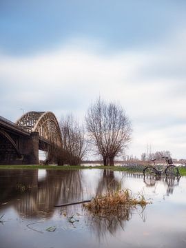 Nijmegen hoogwater #2 van Lex Schulte