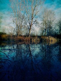 Versteck von Angelo Cerantola