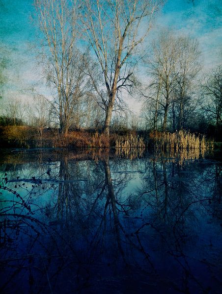 Hideaway van Angelo Cerantola