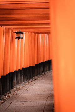 Onder de rode tori's van de Fushimi Inari-taisha van Anouk Sassen