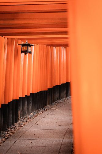 Under the red tori's of the Fushimi Inari-taisha