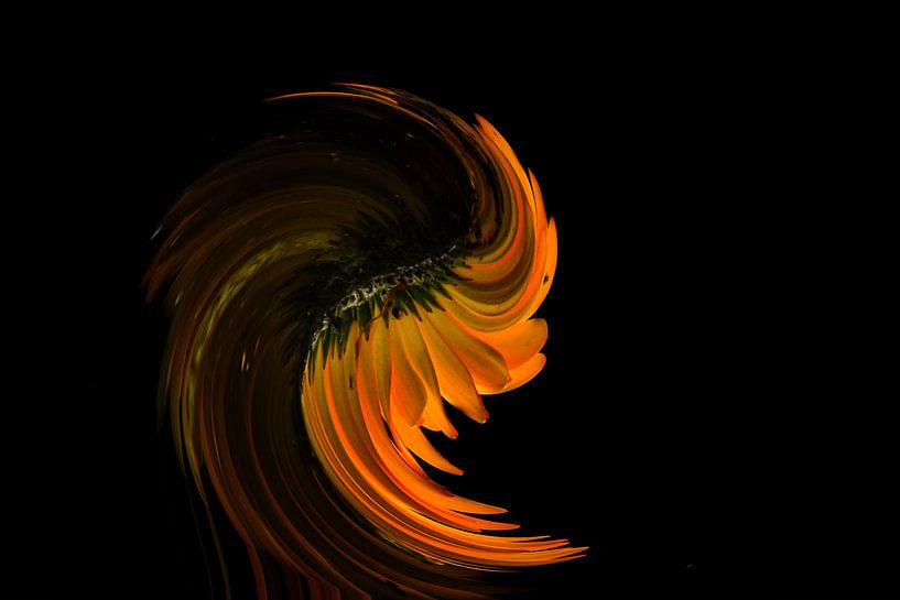 Flowerpower von Shirley Douwstra