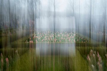 Amsterdam. Le jardin du Rijksmuseum. sur Alie Ekkelenkamp