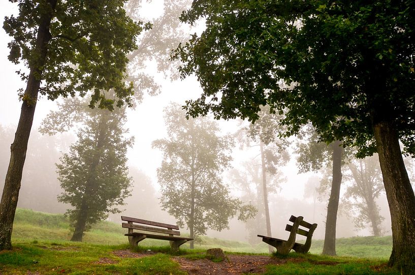 mistbanken par Ilja Kalle