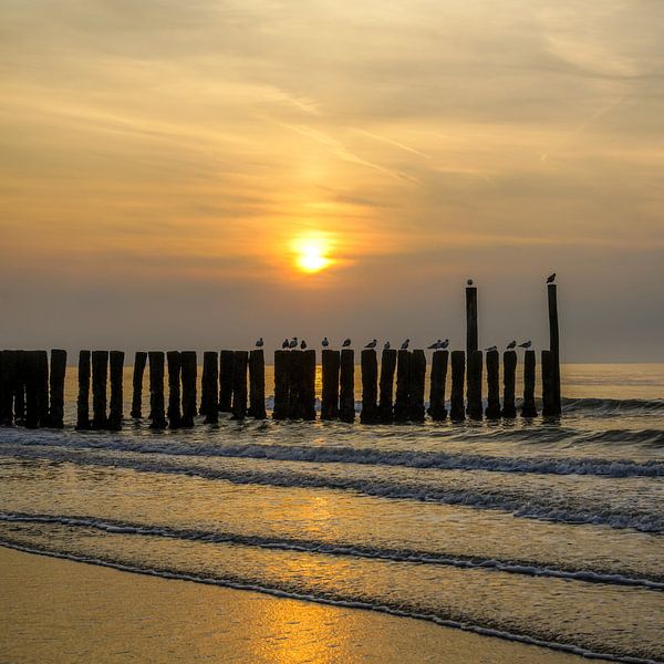 Domburg, Walcheren Zeeland von Dirk van Egmond