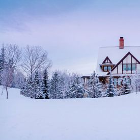 Winter-Wunderland von Samantha Locadia Photography