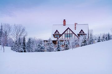 Winter Wonderland van Samantha Locadia Photography