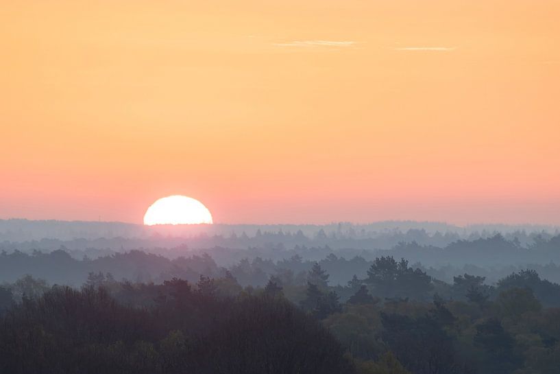 Zonsopkomst boven de nevelige bossen van de Veluwe van Bas Ronteltap