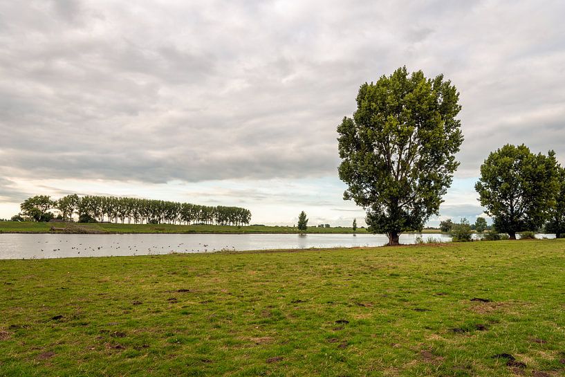 Idyllische niederländische Flusslandschaft an einem Sommerabend von Ruud Morijn