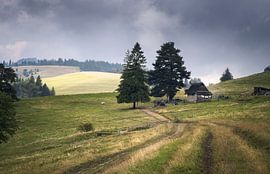 Idyllischer Wanderweg im Tatra-Nationalpark von PhotoCluster