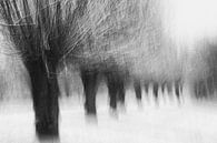 Winterwillows, Jacqueline van Bijnen van 1x thumbnail