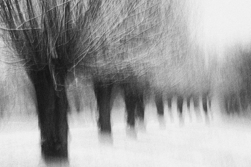 Winterwillows, Jacqueline van Bijnen van 1x