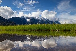 View to the "Hohe Kiste