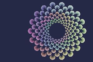 Petals