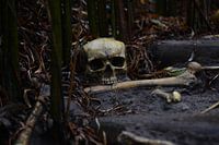 Skull and Bones