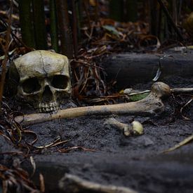 Skull and Bones van Sjoerd Reitsma