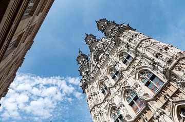 Stadhuis Leuven van Richard Wareham