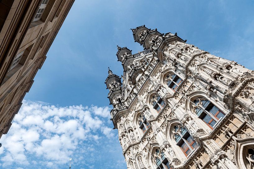 Rathaus von Leuven von Richard Wareham