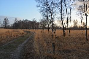 Nationaal park De Groote Peel