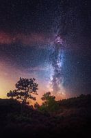 Night is the New Day