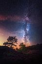 Night is the New Day by Daniel Laan thumbnail