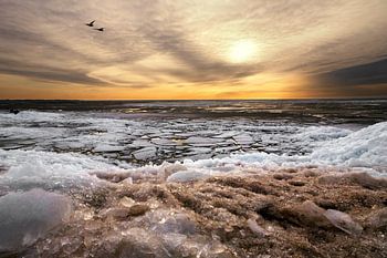Ice landscape