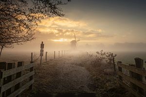 Moulin L'Hirondelle près d'Oudemolen dans la brume mystique du matin
