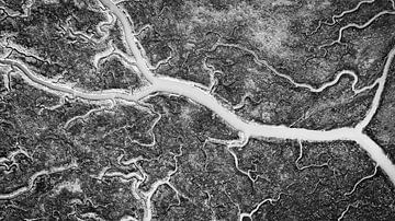 Delta in black and white