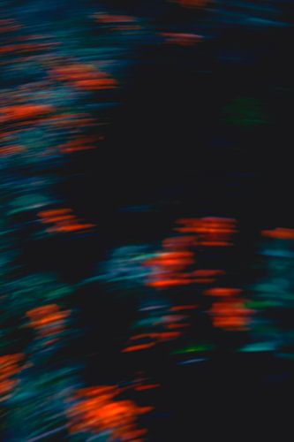 Lost Myself - Part II