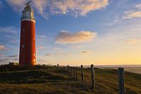 Texel Leuchtturm in der Sonne