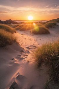 Sanddünen am Strand V2